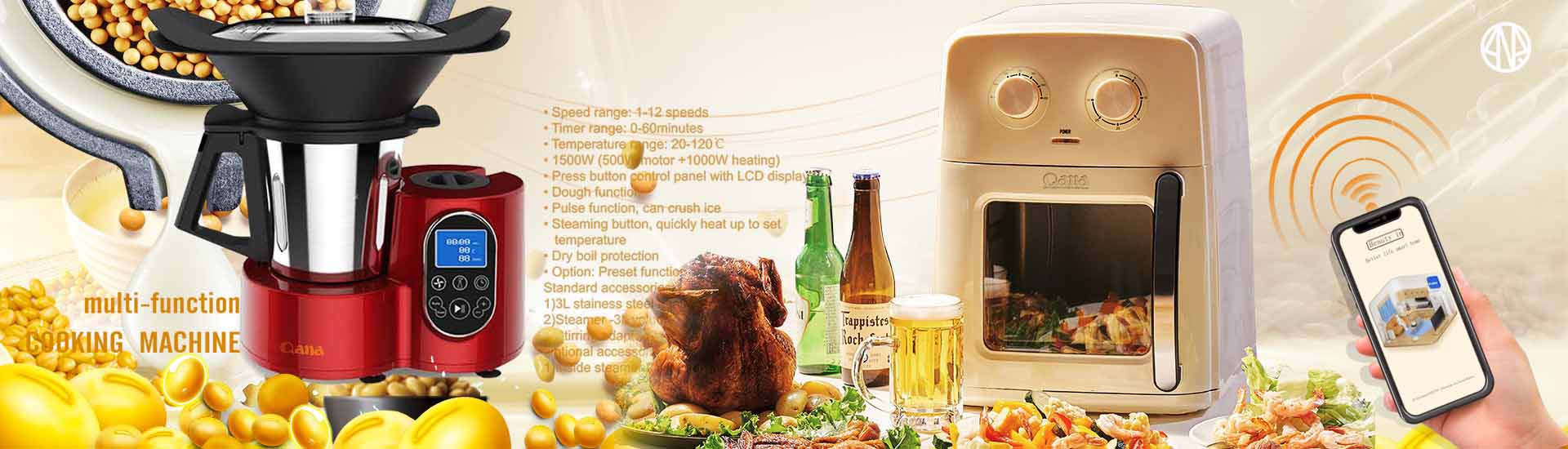 The air fryer