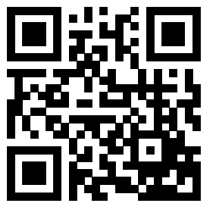 the qr code