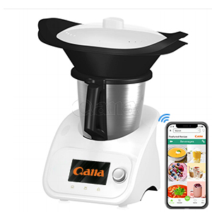 Multifunctional high speed soup maker bl