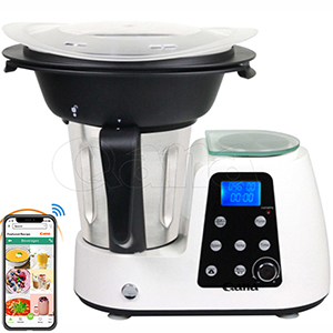 Wifi The factoryLed Display chicken BBQ pizza pan 1500w hot electric digital mini air fryer 